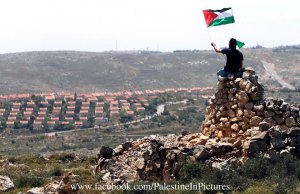 Foto de Palestine in Pictures